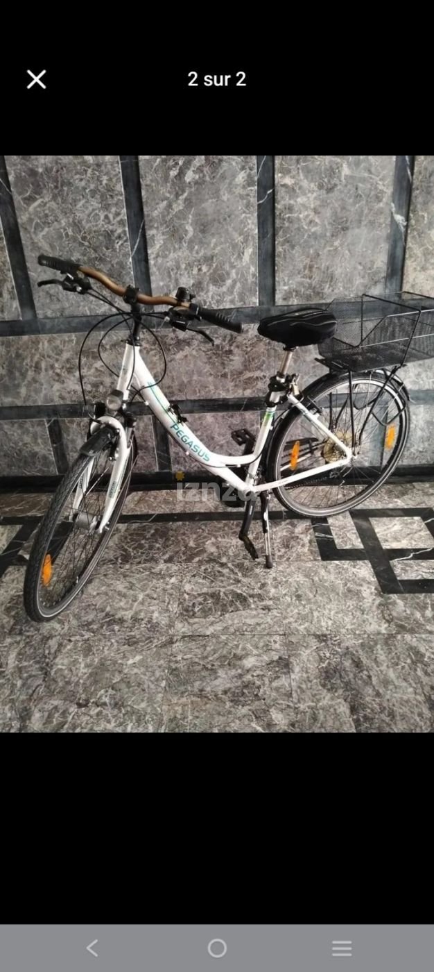 Velo Pegasus — 2